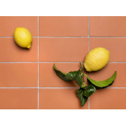 Baldosa Catalana