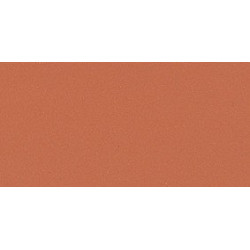 Baldosín rojo 12x24x1