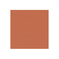 copy of Baldosín rojo 12x24x1